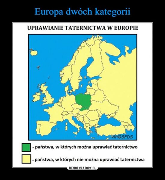 Obrazek posiada pusty atrybut alt; plik o nazwie 231778953_4456092951108490_6861868984799579839_n-550x600.jpg